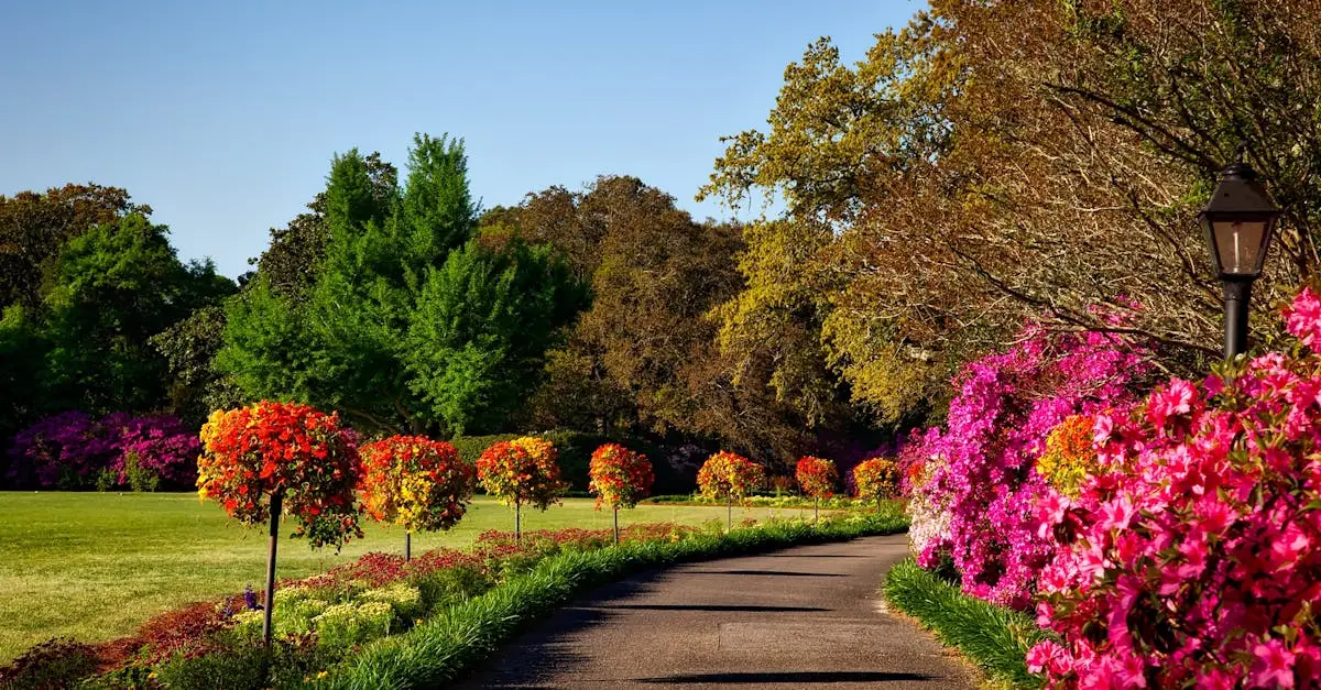 bellingrath-gardens-alabama-landscape-scenic-158028-158028 A scenic outdoor garden with vibrant floral displays, perfect for backgrounds or wallpapers.